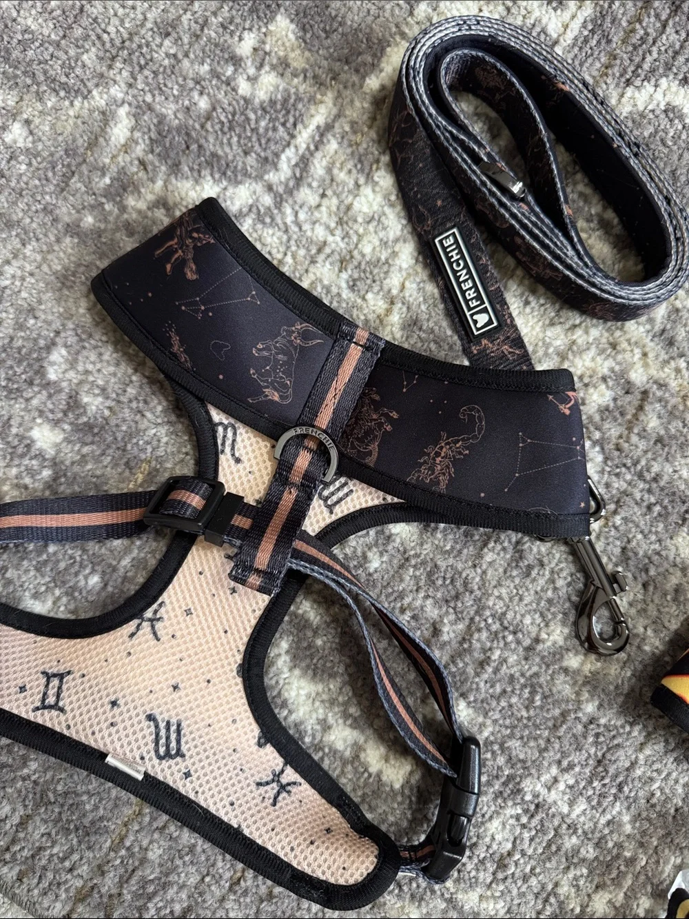 Frenchie Bulldog Reversible Harness and Leash Set Horoscope Print Neutral